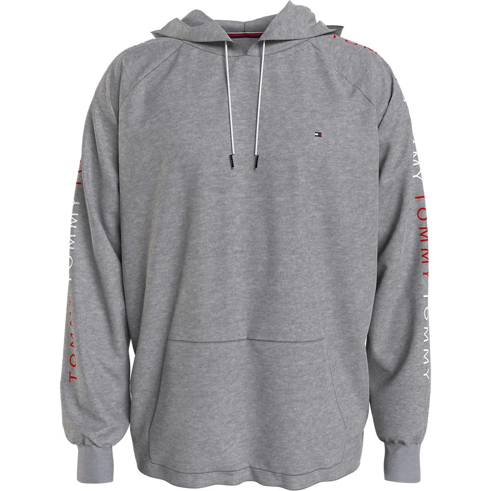 Sudadera con capucha Hoodie Tommy Hilfiger Gris